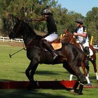 Veuve Clicquot Polo Classic Los Angeles at Will Rogers State Historic Park
